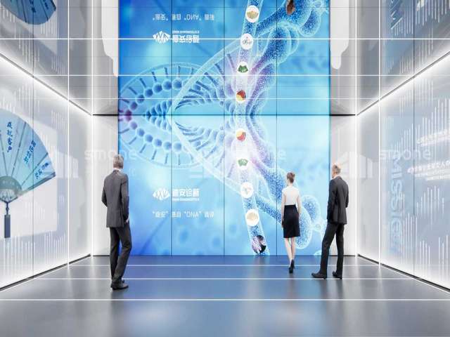 Winogradskyella eximia菌株